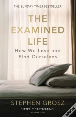 Capa do artigo Examined Life