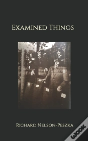 Capa do artigo Examined Things