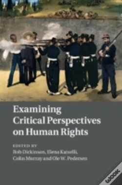 Capa do artigo Examining Critical Perspectives On Human Rights