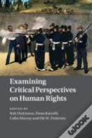 Examining Critical Perspectives On Human Rights
