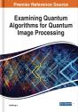 Examining Quantum Algorithms For Quantum Image Processing - Preview