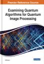 Examining Quantum Algorithms For Quantum Image Processing - Preview