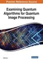 Examining Quantum Algorithms For Quantum Image Processing - Preview