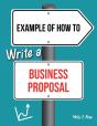 Example Of How To Write A Business Proposal - Preview