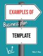 Examples Of Business Plan Template - Preview