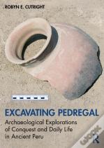 Excavating Pedregal