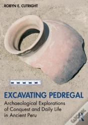 Capa do artigo Excavating Pedregal
