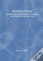 Excavating Pedregal