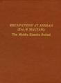 Excavations At Anshan (Tal-E Malyan) - Preview
