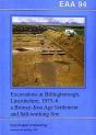 Excavations At Billingborough Lincolnshi - Preview