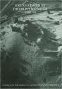 Excavations At Dryslwyn Castle 1980-1995 - Preview