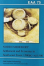 Excavations At North Shoebury - Preview