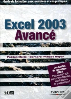 Capa do artigo Excel 2003 Avancé