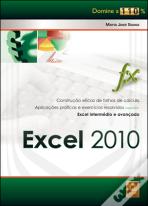 Excel 2010