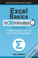 Excel Basics In 30 Minutes (2nd Edition)