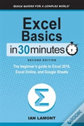 Excel Basics In 30 Minutes (2nd Edition)