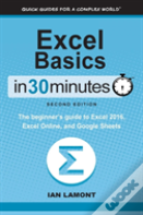 Excel Basics In 30 Minutes (2nd Edition)
