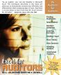 Excel For Auditors - Preview