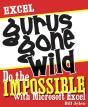 Excel Gurus Gone Wild - Preview