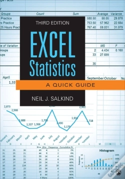 Capa do artigo Excel Statistics