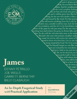 Capa do artigo Excel Still More Bible Workshop