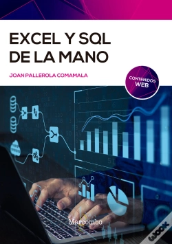 Capa do artigo Excel Y Sql De La Mano