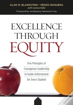 Capa do artigo Excellence Through Equity