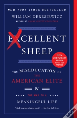 Capa do artigo Excellent Sheep