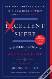 Capa do artigo Excellent Sheep