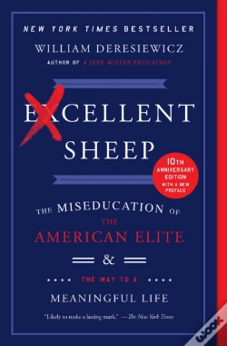 Capa do artigo Excellent Sheep