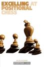 Excelling At Positional Chess: - Preview