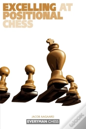 Capa do artigo Excelling At Positional Chess: