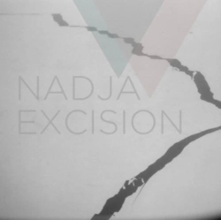 Capa do artigo Excision - CD