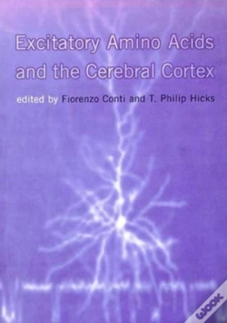 Capa do artigo Excitatory Amino Acids And The Cerebral Cortex