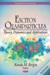 Exciton Quasiparticles