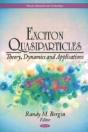 Exciton Quasiparticles - Preview