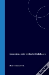 Excursions Into Syntactic Databases