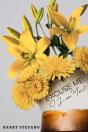 Excuse Me - Preview