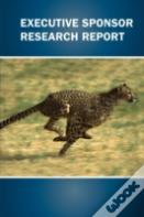 Executive Sponsor Research Report