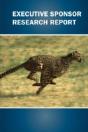 Executive Sponsor Research Report - Preview