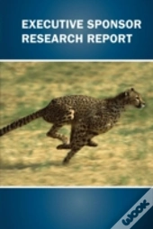 Executive Sponsor Research Report