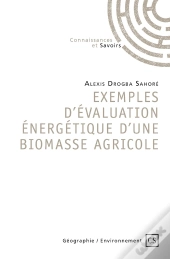 Exemples D'Évaluation Énergétique D'Une Biomasse Agricole