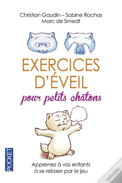 Capa do artigo Exercices D'Éveil Pour Petits Châtons