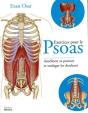 Exercices Pour Le Psoas - Preview