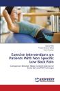 Exercise Interventions On Patients With Non Specific Low Back Pain - Preview