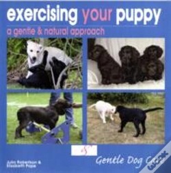 Capa do artigo Exercising Your Puppy: A Gentle & Natural Approach