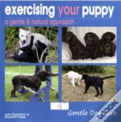 Capa do artigo Exercising Your Puppy: A Gentle & Natural Approach