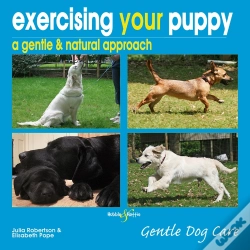 Capa do artigo Exercising Your Puppy: A Gentle & Natural Approach