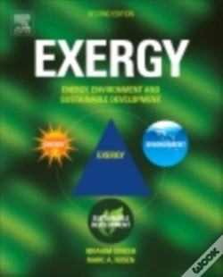 Capa do artigo Exergy