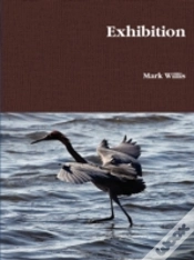 Capa do artigo Exhibition